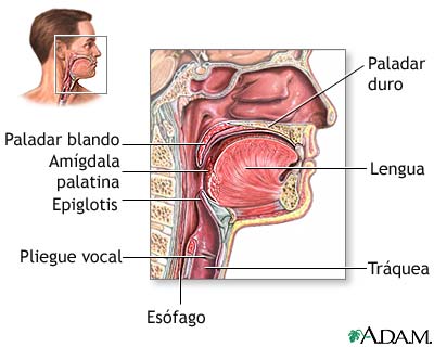 inflamacion de ganglios